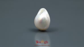 Keshi Pearl - 9.1 Carat