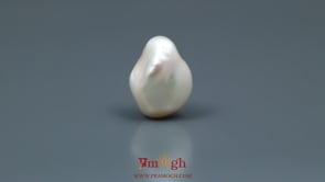 Keshi Pearl - 7.35 Carat