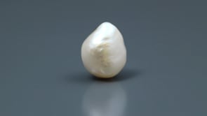 Keshi Pearl - 13.25 Carat