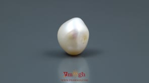 Keshi Pearl - 12.8 Carat