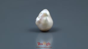 Keshi Pearl - 10.8 Carat