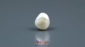 Keshi Pearl - 6.65 Carat