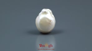 Keshi Pearl - 11.85 Carat