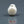 Load and play video in Gallery viewer, Keshi Pearl - 11.85 Carat
