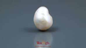 Keshi Pearl - 13.75 Carat