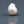 Load and play video in Gallery viewer, Keshi Pearl - 13.75 Carat
