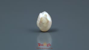 Keshi Pearl - 5.85 Carat