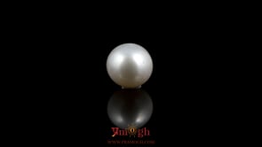 Pearl - 5.25 Carat