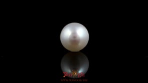 Pearl - 5.4 Carat
