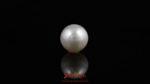 Pearl - 5.4 Carat