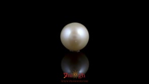 Pearl - 5.55 Carat