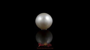 Pearl - 5.85 Carat