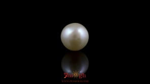 Pearl - 5.45 Carat