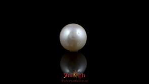 Pearl - 5.75 Carat