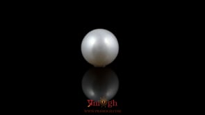 Pearl - 5.55 Carat