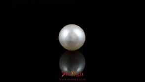 Pearl - 5.15 Carat