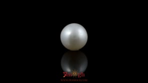 Pearl - 5.75 Carat