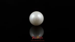 Pearl - 6.9 Carat