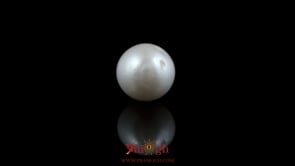 Pearl - 6.85 Carat