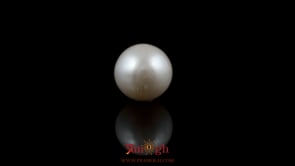 Pearl - 7.05 Carat
