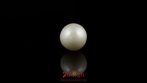 Pearl - 7.05 Carat