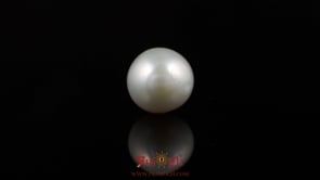 Pearl - 6.9 Carat
