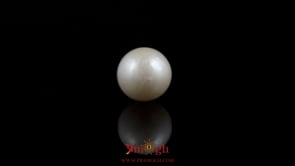 Pearl - 6.95 Carat