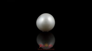Pearl - 7.2 Carat