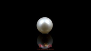 Pearl - 5.2 Carat