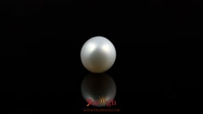 Pearl - 5.05 Carat