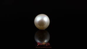 Pearl - 5.5 Carat