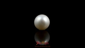 Pearl - 5.85 Carat