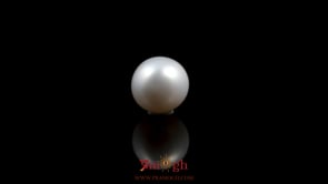 Pearl - 5.4 Carat