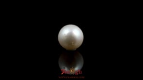 Pearl - 5.8 Carat