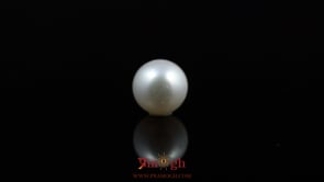 Pearl - 5.4 Carat