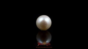 Pearl - 5.4 Carat