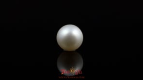 Pearl - 5.85 Carat