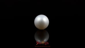 Pearl - 5.2 Carat