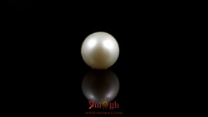 Pearl - 5.5 Carat