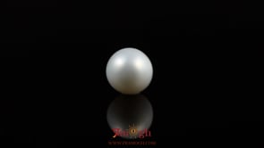 Pearl - 5.5 Carat