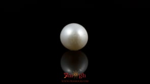 Pearl - 5.85 Carat