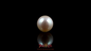 Pearl - 5.4 Carat