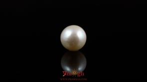 Pearl - 5.7 Carat