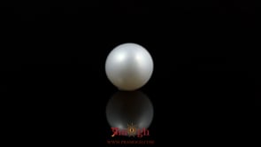 Pearl - 5.4 Carat