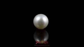 Pearl - 5.15 Carat