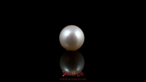 Pearl - 5.4 Carat