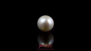 Pearl - 5.8 Carat