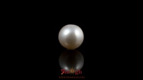 Pearl - 5.6 Carat
