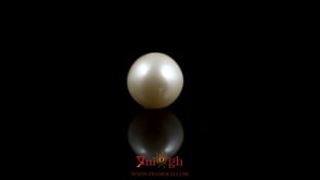 Pearl - 5.4 Carat