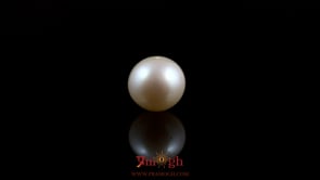 Pearl - 5.45 Carat